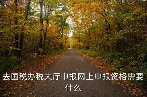 國稅網上申報用什么資料，去國稅辦稅大廳申報網上申報資格需要什么