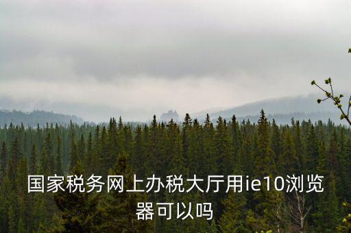 國稅網上申報用什么瀏覽器，山東國稅網上申報系統需要什么瀏覽器