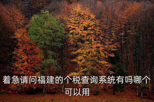 著急請問福建的個稅查詢系統有嗎哪個可以用