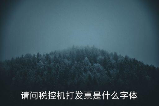 請問稅控機打發票是什么字體