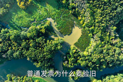 普票驗舊驗什么，發票驗舊是什么意思