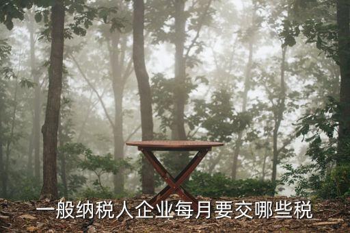 一般納稅人企業每月要交哪些稅