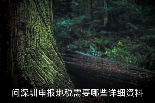 深圳市的地稅申報是什么，深圳市地稅怎么申報
