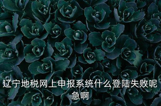 遼寧網上報稅為什么進不去，遼寧地稅網上申報系統什么登陸失敗呢急啊
