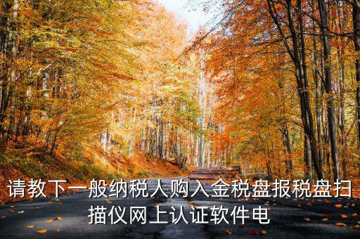 請教下一般納稅人購入金稅盤報稅盤掃描儀網上認證軟件電