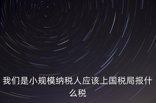 小規模要報什么稅，我想問問小規模納稅人報稅需要報些什么