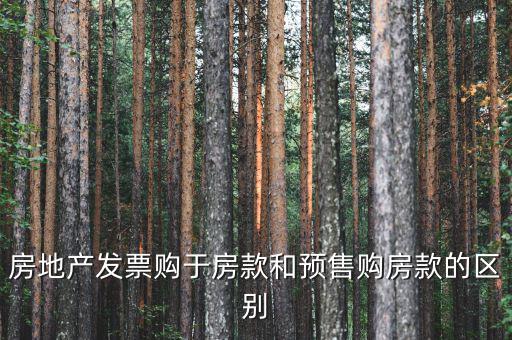 房地產發票購于房款和預售購房款的區別