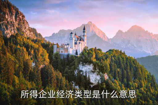 所得企業經濟類型是什么意思