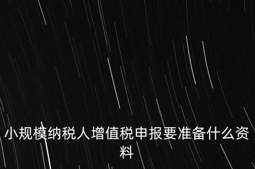 小規模報稅需要帶什么，小規模納稅人增值稅申報要準備什么資料