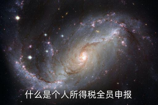 什么是個人所得稅全員申報(bào)
