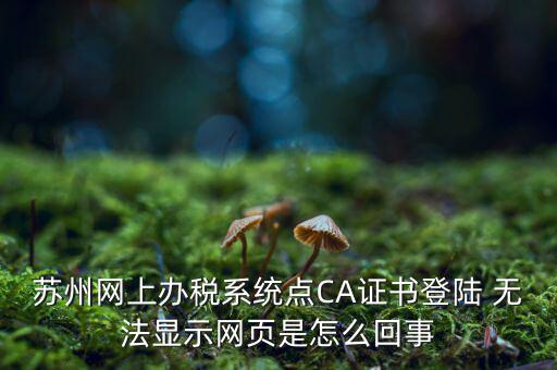 蘇州網上辦稅系統點CA證書登陸 無法顯示網頁是怎么回事