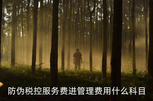 防偽稅控服務費是什么意思，繳納電子鑰匙的年費是防偽稅控服務費嗎