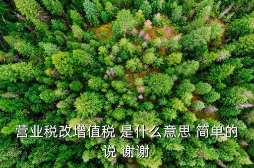 什么叫增值稅修正稅負，增值稅修正稅負是什么意思