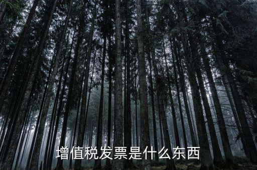 增值稅發票是什么東西