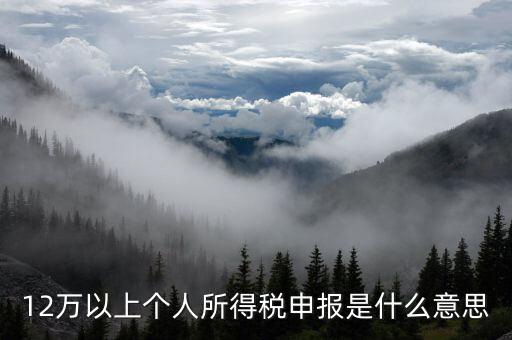 12萬以上個人所得稅申報(bào)是什么意思