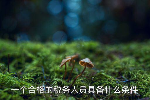 一個合格的稅務人員具備什么條件