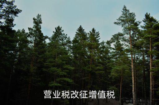 什么是營業稅改征增值稅試點期間，我國全面推開營業稅改征改征增值稅是哪一年