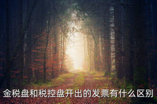 金稅盤和稅控盤是什么，金稅盤和稅控盤開出的發票有什么區別