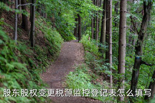 股東股權變更稅源監控登記表怎么填寫