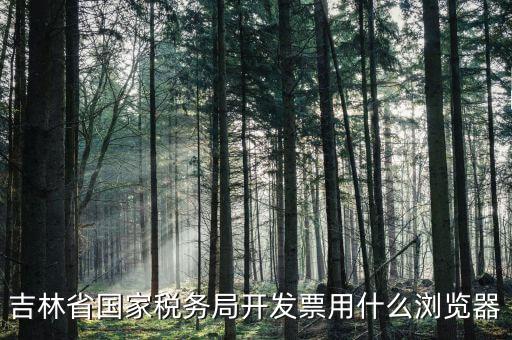 吉林省國家稅務局開發票用什么瀏覽器