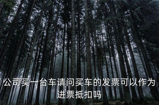 公司買一臺車請問買車的發票可以作為進票抵扣嗎