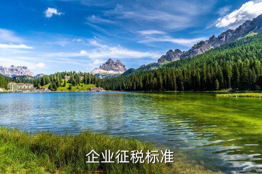 企業征稅標準