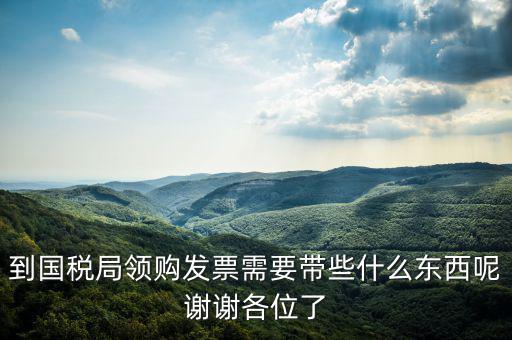 到國稅局領購發票需要帶些什么東西呢謝謝各位了