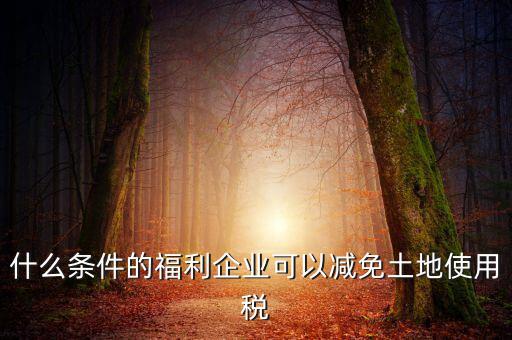什么條件的福利企業可以減免土地使用稅