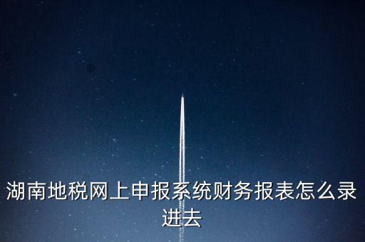 湖南地稅局用什么登錄，湖南地稅網上申報系統