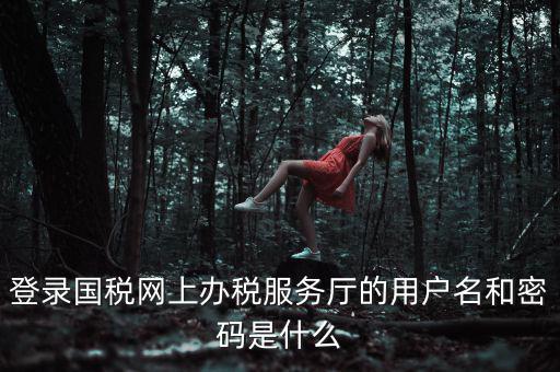 登錄國稅網上辦稅服務廳的用戶名和密碼是什么