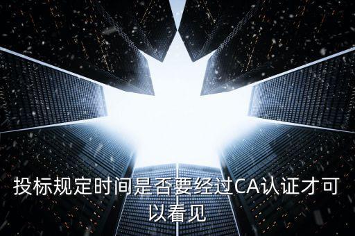 什么情況下需要ca證書，投標規定時間是否要經過CA認證才可以看見