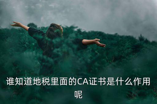 稅務企業ca登錄是什么意思，網上報稅CA驗證系統是甚么