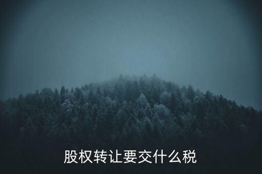 股權轉讓要交什么稅