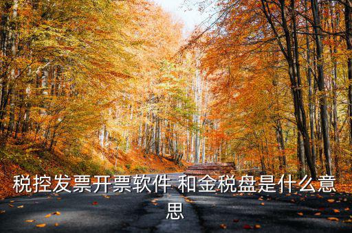稅控發票開票軟件 和金稅盤是什么意思