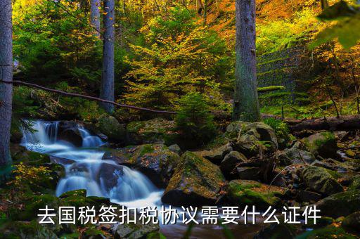 去國稅簽扣稅協議需要什么證件