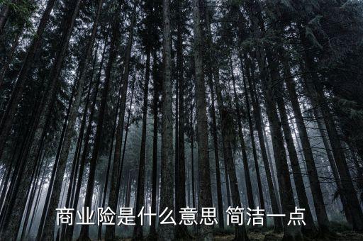商業險是什么意思 簡潔一點