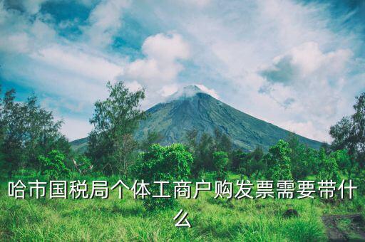 哈市國稅局個體工商戶購發票需要帶什么