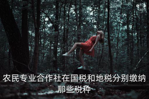 農民專業合作社在國稅和地稅分別繳納那些稅種