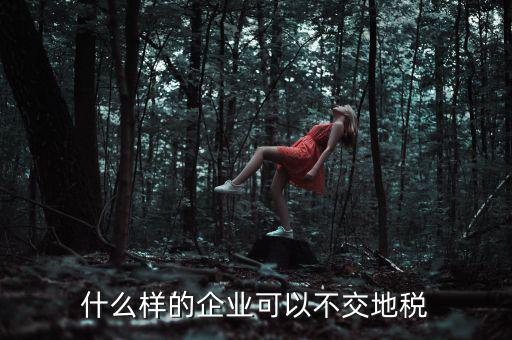 什么樣的企業可以不交地稅