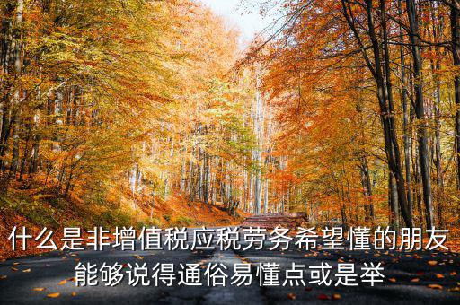 什么是非增值稅應稅勞務希望懂的朋友能夠說得通俗易懂點或是舉