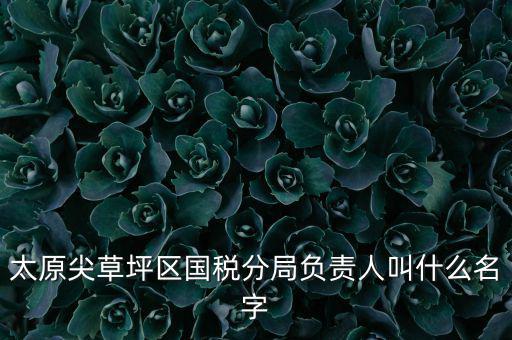 太原尖草坪區國稅分局負責人叫什么名字