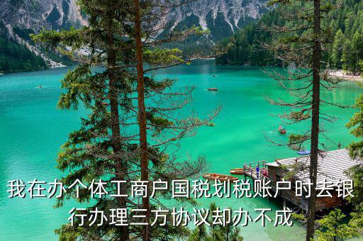 我在辦個體工商戶國稅劃稅賬戶時去銀行辦理三方協議卻辦不成