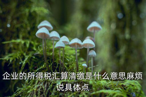企業的所得稅匯算清繳是什么意思麻煩說具體點