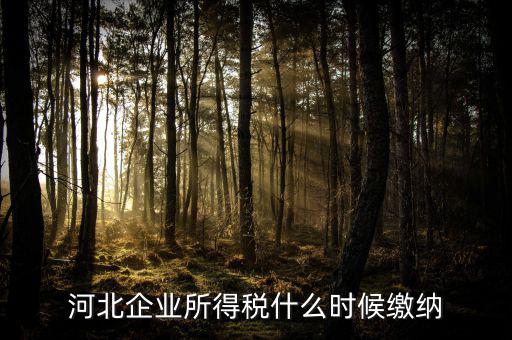 河北企業所得稅什么時候繳納