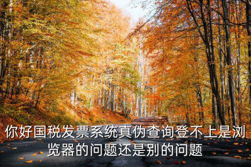 你好國稅發票系統真偽查詢登不上是瀏覽器的問題還是別的問題