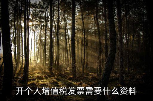 開個人增值稅發票需要什么資料