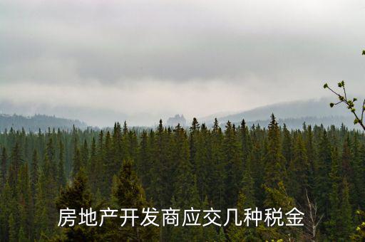 房地產開發商應交幾種稅金