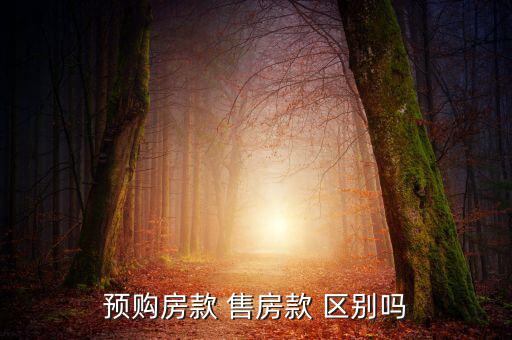 預購房款 售房款 區別嗎