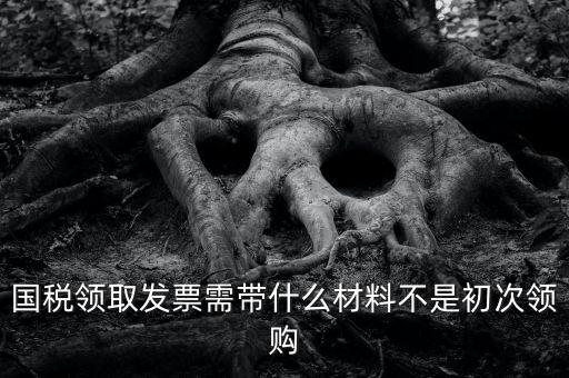 國稅領取發票需帶什么材料不是初次領購
