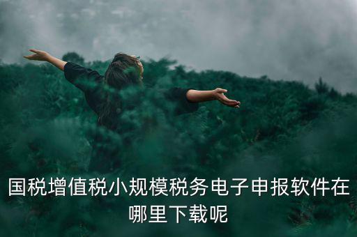 國稅增值稅小規模稅務電子申報軟件在哪里下載呢